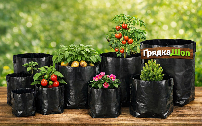 Пакеты для рассады